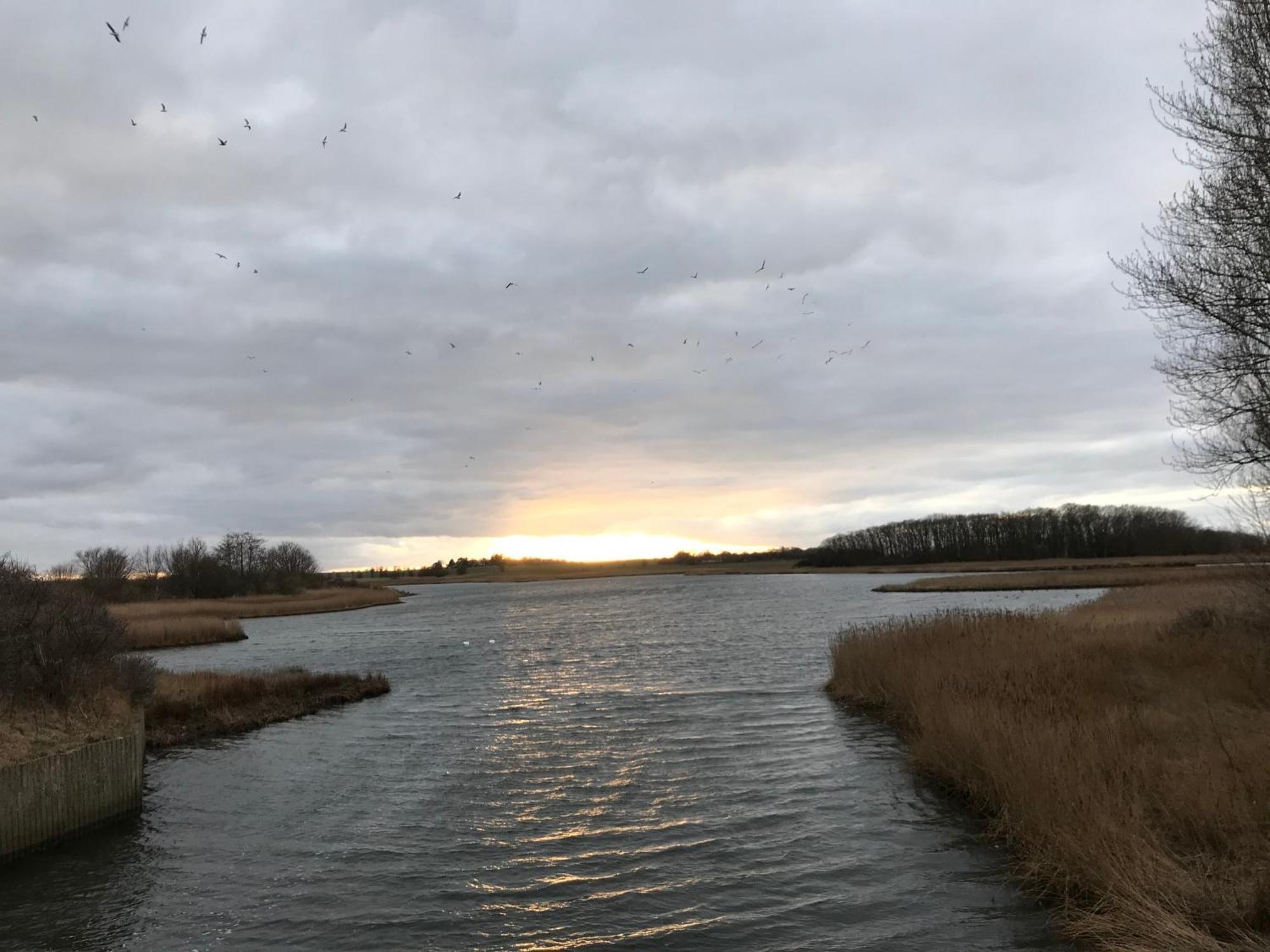 Ferienwohnung Meeresblick Heiligenhafen Exteriör bild